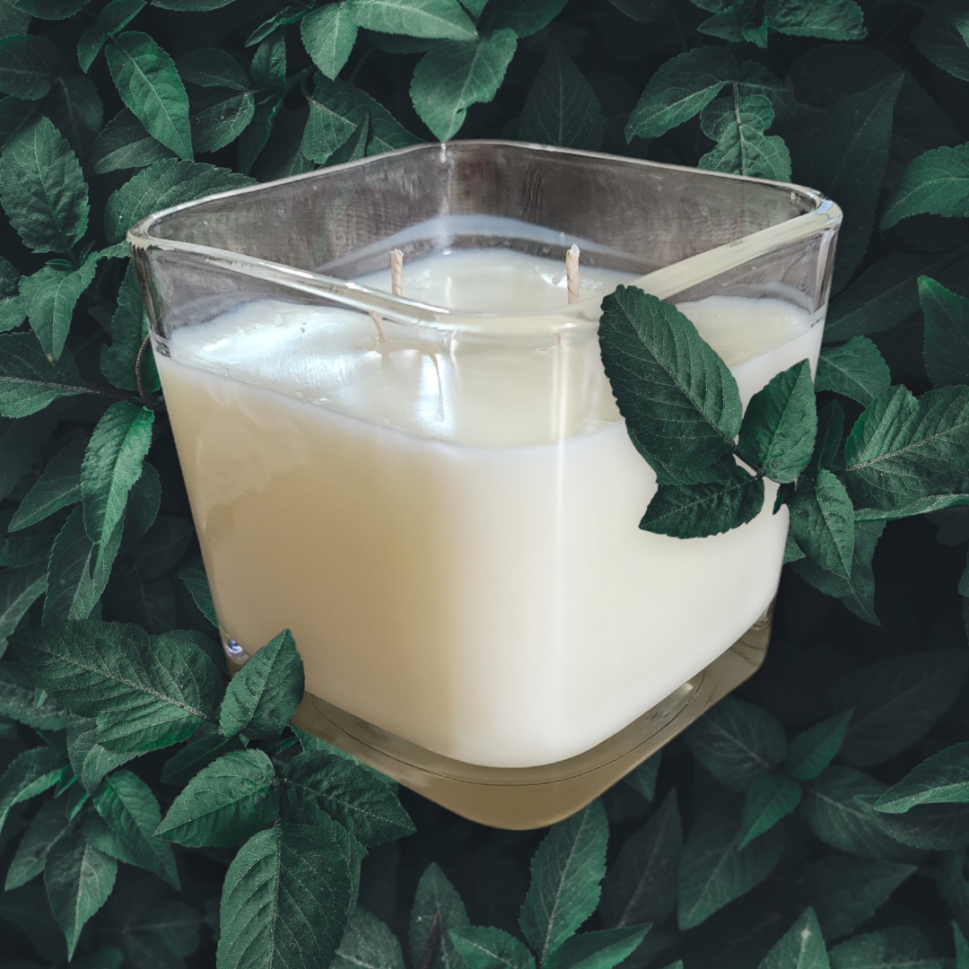 Basil, Sage and Mint